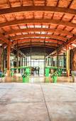 Туры в отель Rainforest Hotel & Cabanas Туры в отель Rainforest Hotel & Cabanas
