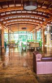 Туры в отель Rainforest Hotel & Cabanas Туры в отель Rainforest Hotel & Cabanas