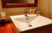 Туры в отель Rainforest Hotel & Cabanas Туры в отель Rainforest Hotel & Cabanas
