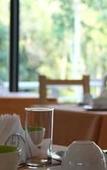 Туры в отель Rainforest Hotel & Cabanas Туры в отель Rainforest Hotel & Cabanas