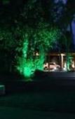 Туры в отель Rainforest Hotel & Cabanas Туры в отель Rainforest Hotel & Cabanas