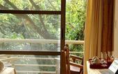 Туры в отель Rainforest Hotel & Cabanas Туры в отель Rainforest Hotel & Cabanas
