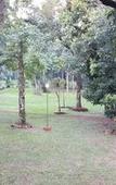 Туры в отель Hotel Tropical Туры в отель Hotel Tropical