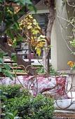 Туры в отель Casa Lila Bed & Breakfast Туры в отель Casa Lila Bed & Breakfast