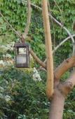 Туры в отель Casa Lila Bed & Breakfast Туры в отель Casa Lila Bed & Breakfast