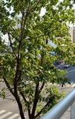 Туры в отель Hotel Boutique Devoto Туры в отель Hotel Boutique Devoto