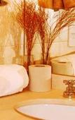 Туры в отель Circus Hotel & Hostel Туры в отель Circus Hotel & Hostel
