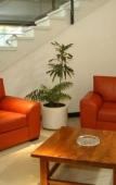 Туры в отель Crans Montana Hotel Туры в отель Crans Montana Hotel