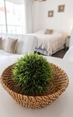 Туры в отель Sucre Suites Туры в отель Sucre Suites