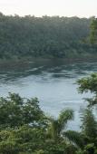 Туры в отель Tupa Lodge selva y rio Туры в отель Tupa Lodge selva y rio