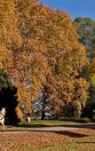 Туры в отель Estancia Villa Maria Туры в отель Estancia Villa Maria