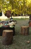 Туры в отель Estancia Villa Maria Туры в отель Estancia Villa Maria
