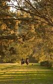Туры в отель Estancia Villa Maria Туры в отель Estancia Villa Maria