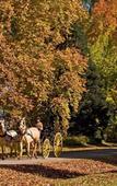 Туры в отель Estancia Villa Maria Туры в отель Estancia Villa Maria