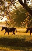 Туры в отель Estancia Villa Maria Туры в отель Estancia Villa Maria