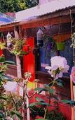 Туры в отель hostel mi lugar Туры в отель hostel mi lugar