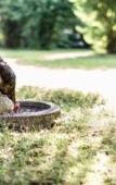 Туры в отель Salzburg Hotel Holznerwirt Туры в отель Salzburg Hotel Holznerwirt
