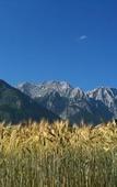 Туры в отель Austria Classic Heiligkreuz Туры в отель Austria Classic Heiligkreuz