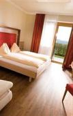 Туры в отель Panoramahof Loipersdorf Туры в отель Panoramahof Loipersdorf