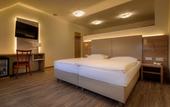 Туры в отель City Hotel Stockerau Туры в отель City Hotel Stockerau