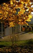 Туры в отель Hotel Pirchnerhof Туры в отель Hotel Pirchnerhof