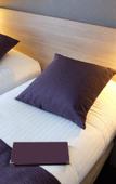 Туры в отель Best Western Hotel La Marina (Saint-Raphael) Туры в отель Best Western Hotel La Marina (Saint-Raphael)