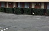 Туры в отель Burwood East Motel Туры в отель Burwood East Motel