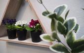 Туры в отель City Quarters on Brewer Туры в отель City Quarters on Brewer