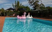Туры в отель Rydges Bankstown Туры в отель Rydges Bankstown
