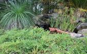 Туры в отель Gosford Palms Motor Inn Туры в отель Gosford Palms Motor Inn