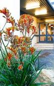 Туры в отель Mandala Ace Albany Hotel Туры в отель Mandala Ace Albany Hotel