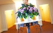 Туры в отель Century Inn Туры в отель Century Inn
