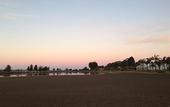 Туры в отель Batemans Bay Marina Resort Туры в отель Batemans Bay Marina Resort