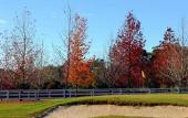 Туры в отель The Oaks Ranch Туры в отель The Oaks Ranch