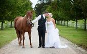 Туры в отель The Oaks Ranch Туры в отель The Oaks Ranch