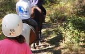 Туры в отель The Oaks Ranch Туры в отель The Oaks Ranch
