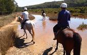Туры в отель The Oaks Ranch Туры в отель The Oaks Ranch