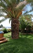 Туры в отель La Plage Resort Туры в отель La Plage Resort