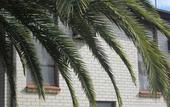 Туры в отель El Toro Motel Туры в отель El Toro Motel