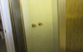 Туры в отель El Toro Motel Туры в отель El Toro Motel