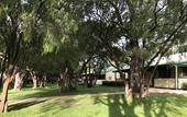 Туры в отель RAC Busselton Holiday Park Туры в отель RAC Busselton Holiday Park