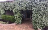 Туры в отель Grapevines Boutique Accommodation Туры в отель Grapevines Boutique Accommodation