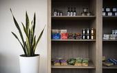 Туры в отель Abode Kingston Туры в отель Abode Kingston
