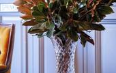 Туры в отель Bayswater Boutique Lodge - Potts Point Туры в отель Bayswater Boutique Lodge - Potts Point