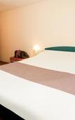 Туры в отель ibis Gent Centrum St-Baafs Kathedraal Туры в отель ibis Gent Centrum St-Baafs Kathedraal
