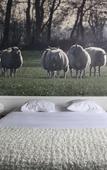 Туры в отель Hotel The Lodge Vilvoorde Туры в отель Hotel The Lodge Vilvoorde