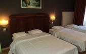 Туры в отель Hotel Albert Туры в отель Hotel Albert