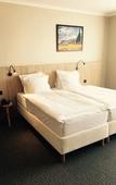 Туры в отель Carlton Hotel Туры в отель Carlton Hotel