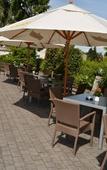 Туры в отель Hotel The New Fox Туры в отель Hotel The New Fox