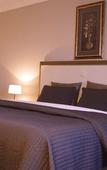 Туры в отель Hotel The New Fox Туры в отель Hotel The New Fox